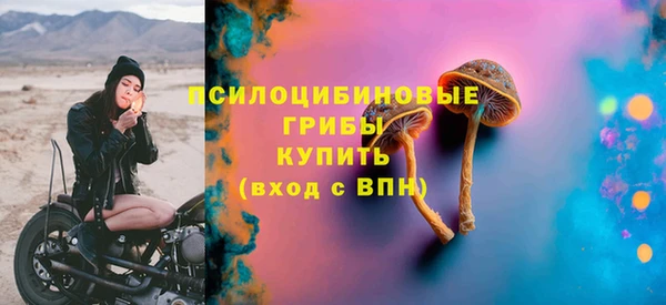гидропоника Бугульма