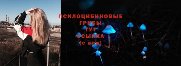 стаф Богородицк