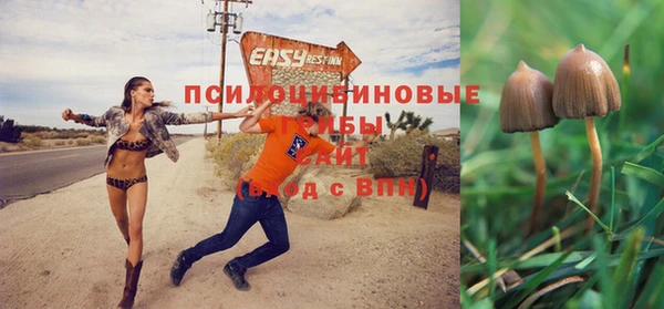 каннабис Богданович